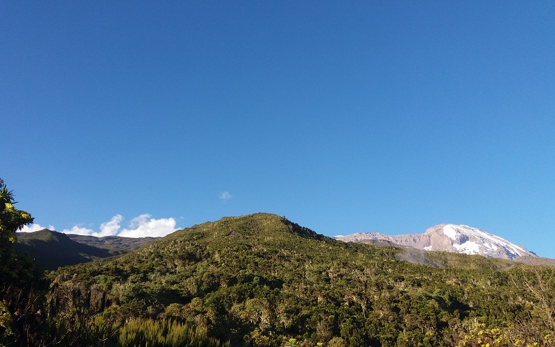 shira route