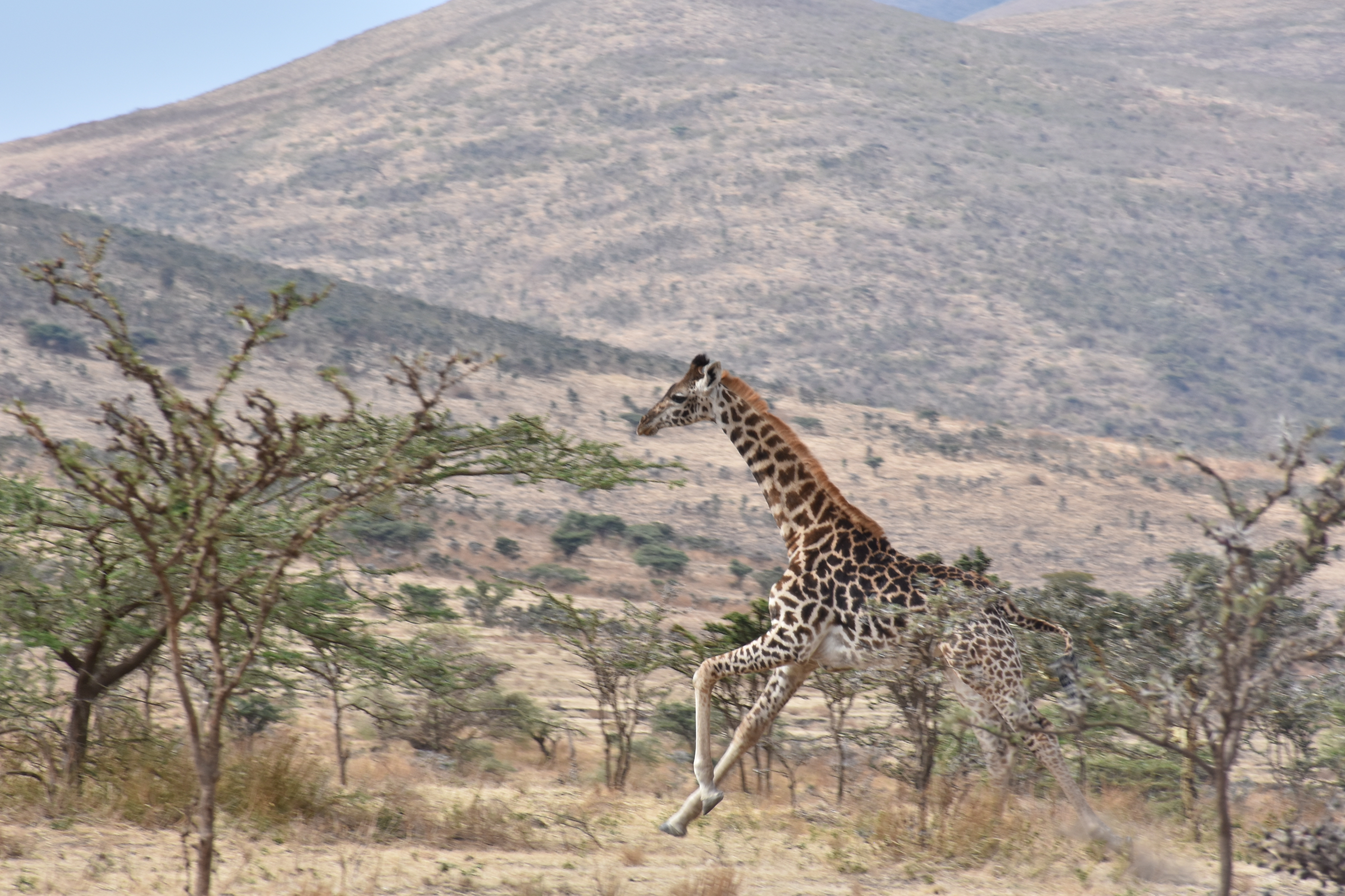 cliff africa adventure